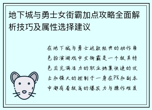 地下城与勇士女街霸加点攻略全面解析技巧及属性选择建议
